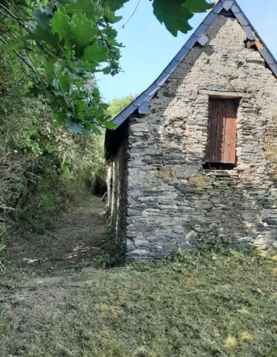 Débroussaillage de la façade d'une maison et du terrain.